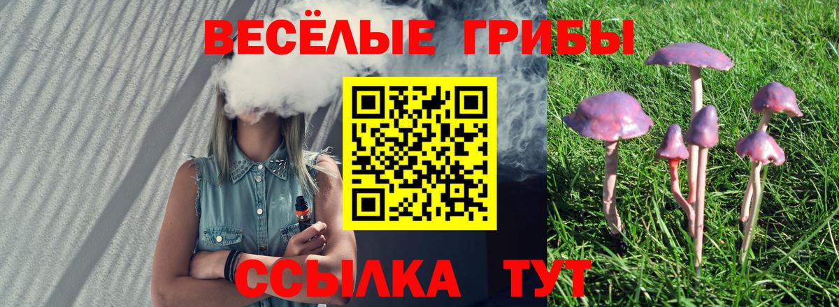 Псилоцибиновые грибы прущие грибы  Вход с VPN  Галлюциногенные грибы Psilocybe  наркошоп  Алексин 